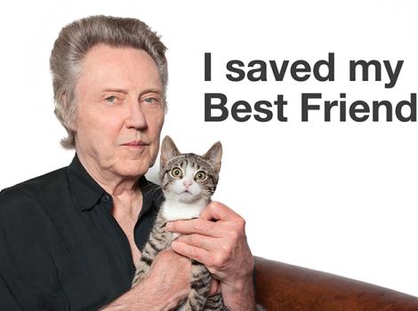Christopher Walken with a kitten