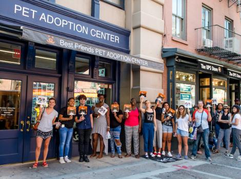 PAC line for Clear the Shelters