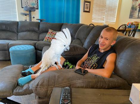 Simon the cockatoo on a couch on the leg of a smiling person