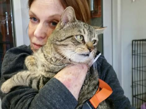 L.A. volunteer Connie snuggling a cat