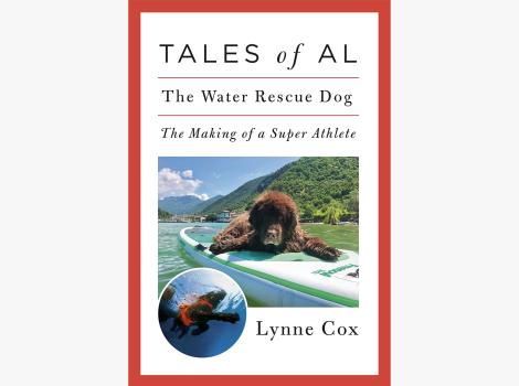 Cover of the book, "Tales of Al"