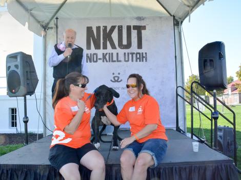 Selenium test image - create