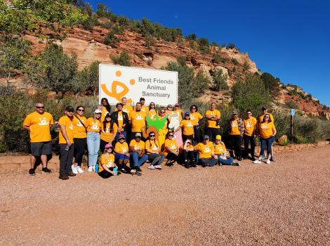 Credit One volunteers in front of the Best Friends Animal Sanctuary sign