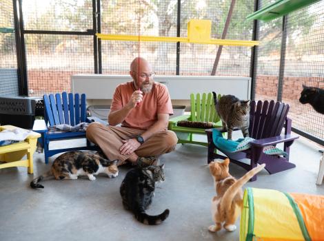 Curtis McIff sitting in a catio playing with a wand toy with cats and his hand-crafted chairs