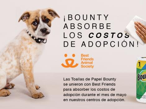 Graphic featuring a dog with a hand wiping with Bounty paper towel and text in Spanish