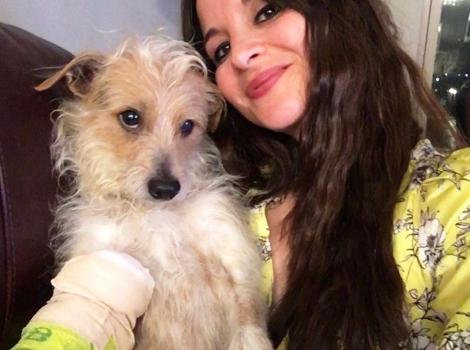 Hutch the dog, wearing his cast, being held by a smiling person