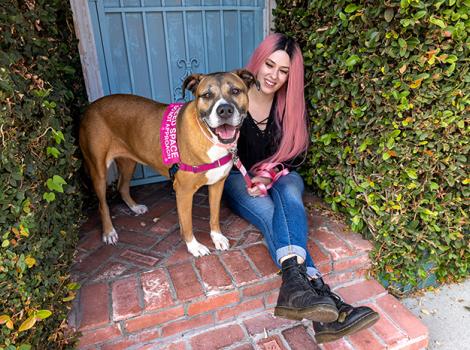 Molly the dog with Madison sitting in an entryway for a door, between two bushes