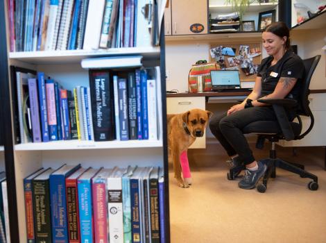 Karigan the dog with a cast on one leg behind a bookshelf next to a smiling person sitting in an office chair