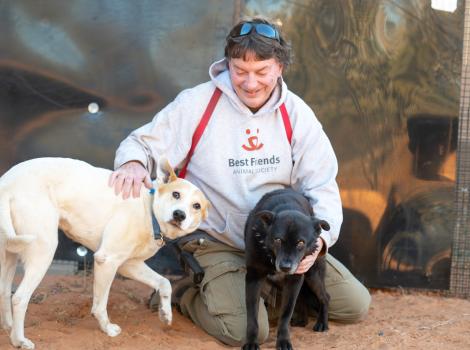 Elton and Hannah the dogs next to Tom, a Dogtown caregiver