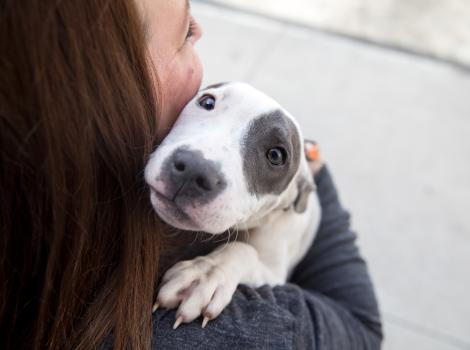Person hugging a puppy over her shoulder