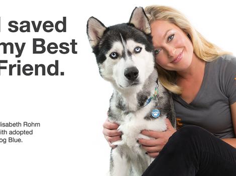 Elisabeth Rohm and husky dog