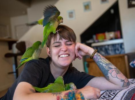 Smiling person surrounded by baby Quaker parrots, including one on her head