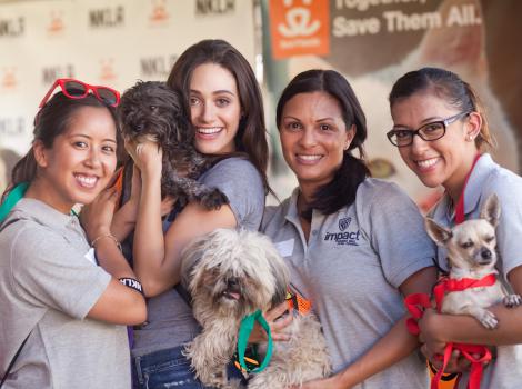 Volunteers at NKLA Adoption Weekend
