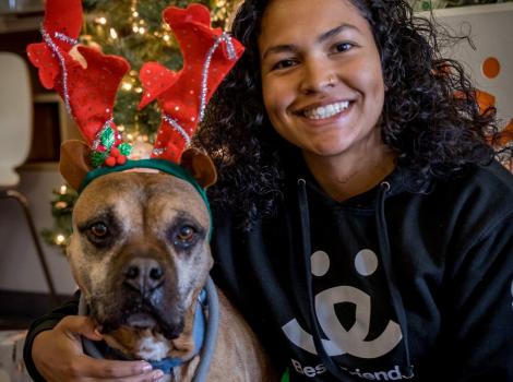 Share Your Home for the Holidays...Fa-la-la-la-foster a Pet From Best Friends LA