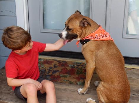 Child affectionately petting the face of a foster dog wearing an orange bandanna