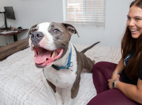 Smiling person sitting on a bed with a happy dog