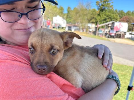 Person standing outside holding a puppy