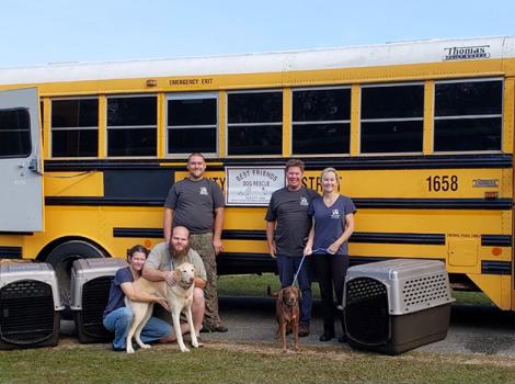 People, a dog and kennels beside a yellow school bus used to transport animals