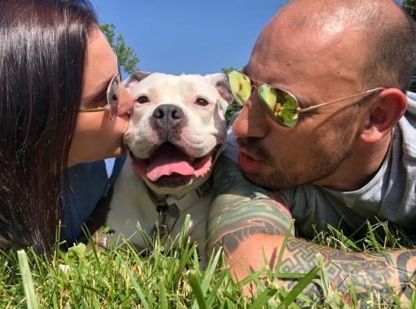 Poptart the dog lying down on grass and getting kisses from people on either side