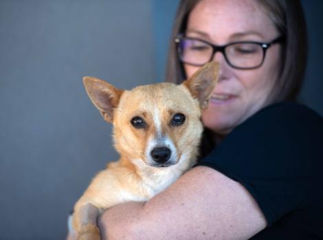 Person holding a small tan dog