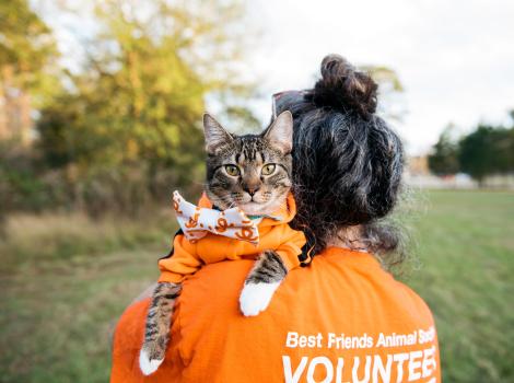 Person wearing an orange Best Friends volunteer T-shirt holding a cat wearing a bow tie over her shoulder