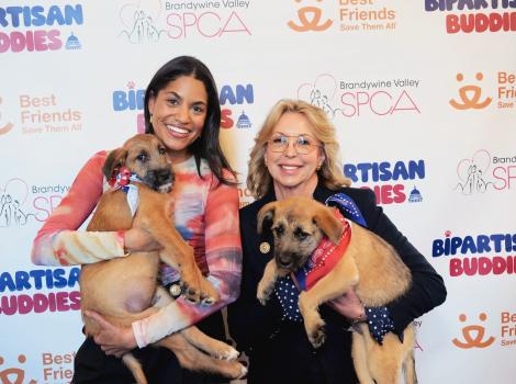 Two people holding puppies in front of a backdrop