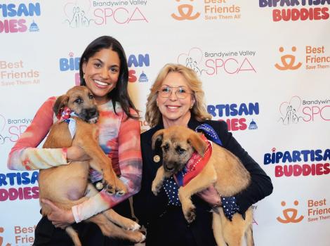 Two people holding puppies in front of a backdrop