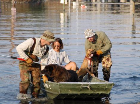 Three people rescuing two dogs in a boat