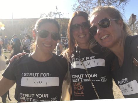 Petroula and other Best Friends in LA volunteers