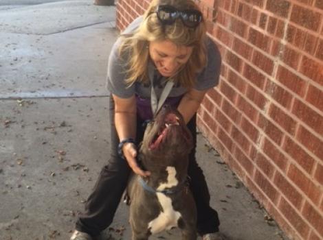 Eve Karasik with a pit bull terrier