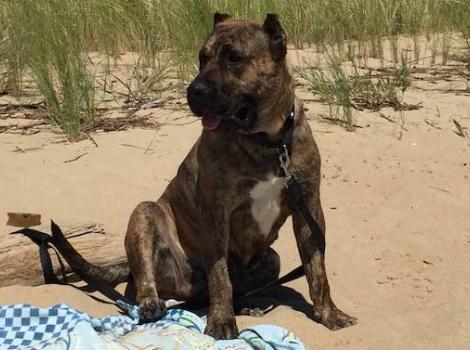 Selenium test image - create