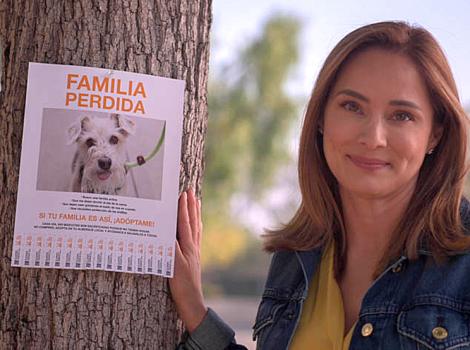 Jacqueline Piñol standing next to a lost dog flyer on a tree