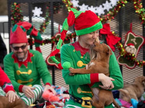 Person wearing an elf outfit holding a puppy who is licking her face, beside the pile of toys 