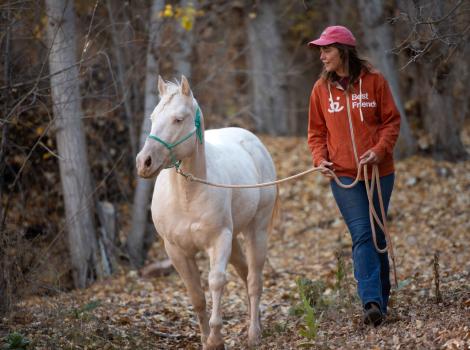 Person wearing a Best Friends sweatshirt leading Jeff the horse outside surrounded by fallen leaves