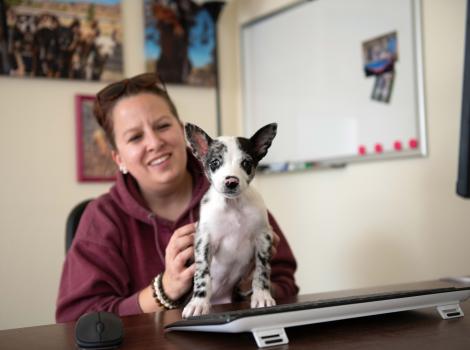 Polly Pocket the puppy on a desk with a person behind her petting her.