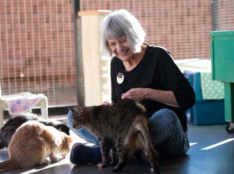 Joan Evans interacting with cats in Cat World