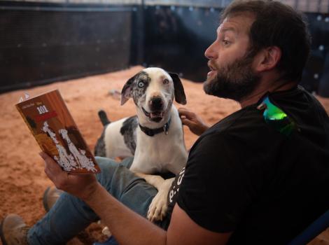 Frankie the dog in the lap of a person who is reading "101 Dalmatians" to him