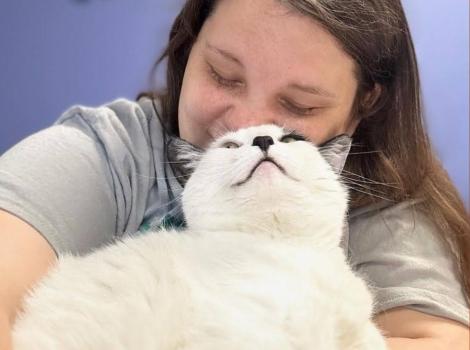 Person snuggling with a black and white cat