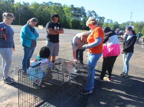 Group of people surrounding a dog outside a wire crate