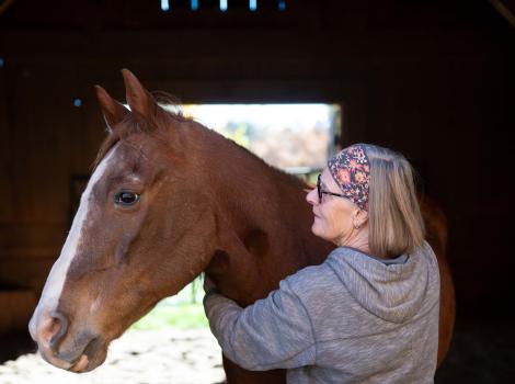 Volunteer Karin Hamilton massaging Rudy the horse