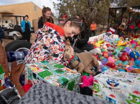 Person wearing pajamas hugging a dog in a trailer full of dog toys