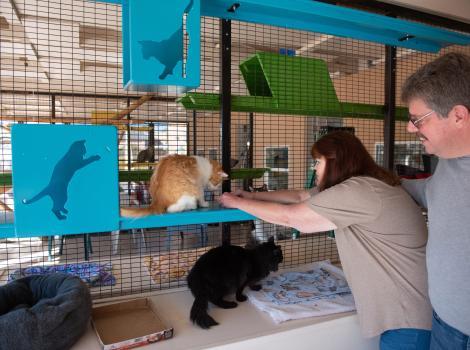 Vicki and Paul Brown at Best Friends Animal Sanctuary with Ken and Java the cats