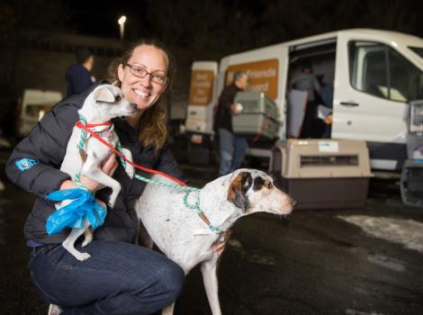 Texas to Utah Transport