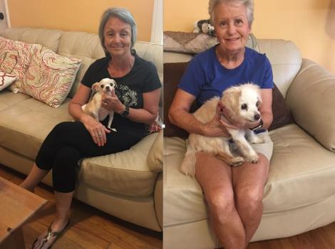 Volunteer Kim & Evelyn with two small dogs