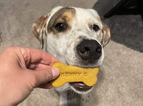 Person's hand giving a dog biscuit to Ken Garff the dog