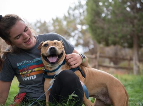 Norberta the dog smiling alongside a person