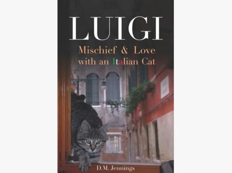 "Luigi" book cover