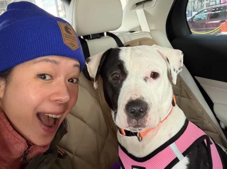 Maggie the dog with her adopter in a vehicle