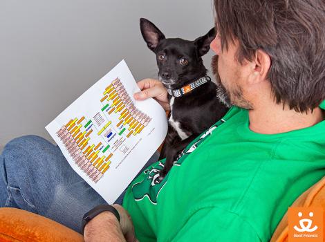Man wearing a green shirt with a small dog