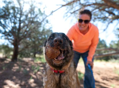 Marge the dog holding a ball in her mouth outside in front of a person
